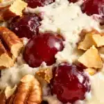 Festive Cranberry Pecan Cheese Ball Recipe 3 tmpypf59xj2.webp